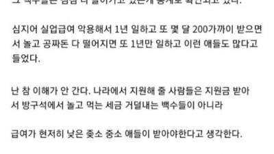 백수 지원금 중단해야 한다는 디시인