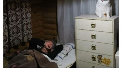 고양이가 새벽3시마다 하는 것