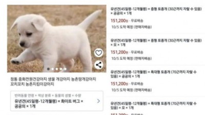 이게 맞아??ㅋㅋ