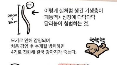 유기견 보호소에서 강아지를 입양했다