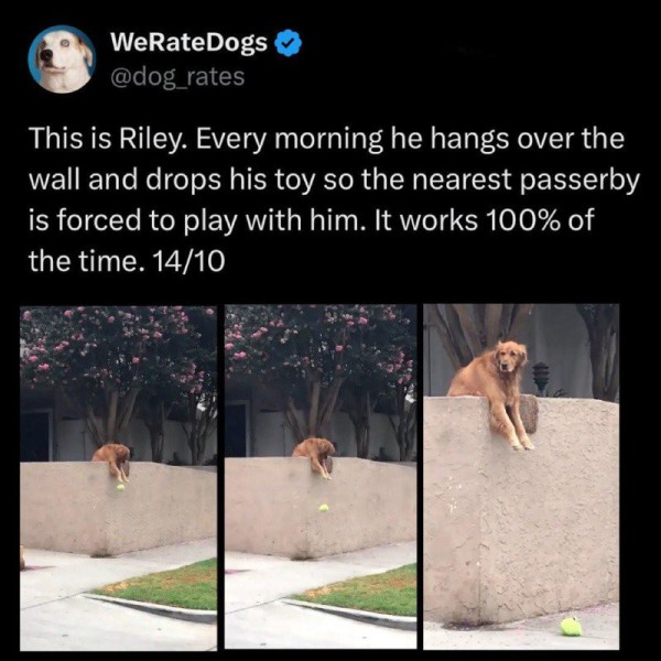 17539322732542.jpg