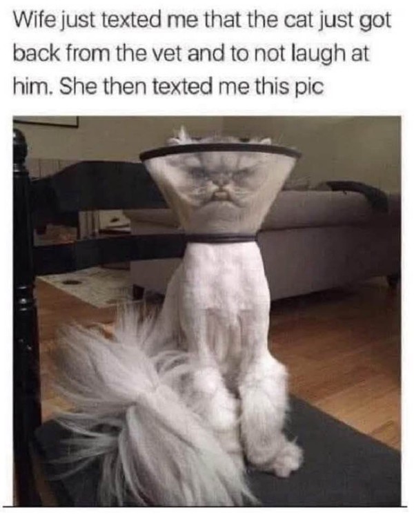 17539625990222.jpg