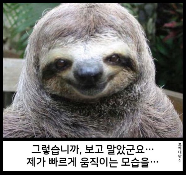 17539798166795.png