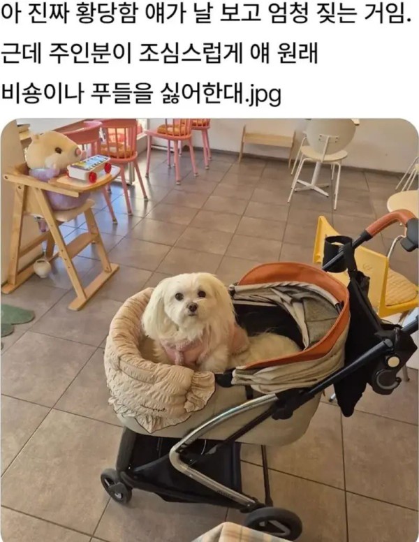 17540224495355.jpg
