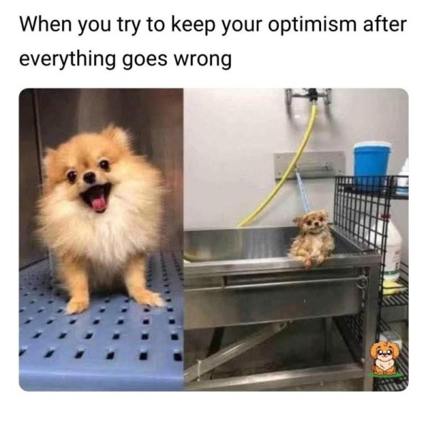 17542916501471.jpg