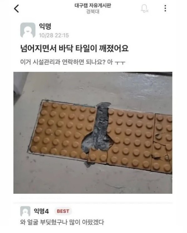 17542918793216.jpg