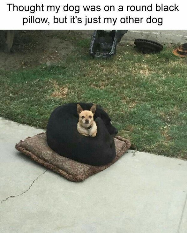 17542918998757.jpg