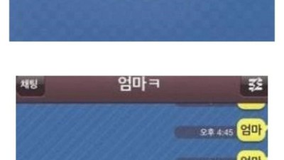 오늘의유머 - 사실상 합법적 악플러