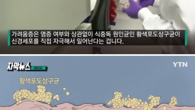 원인불명 가려움증 새로운 원인 찾았다.jpg