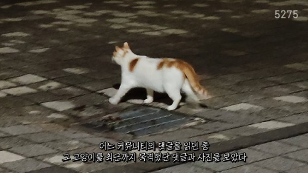 17544951346072.png