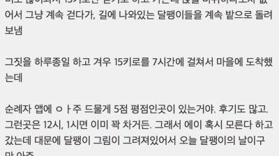산티아고 순례길에서 달팽이를 구출했다
