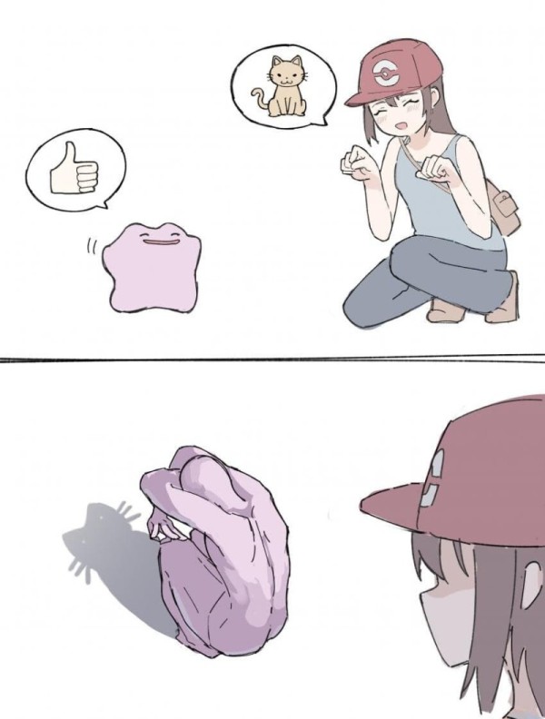 17546235874882.jpg