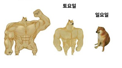 금토일의 나