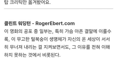 공포영화인데 맘아프고 슬프다는 영화