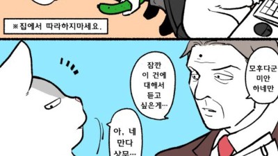 고양이가 된 블랙기업 사원