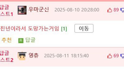ㅇㅎ) 운전 ㅈ같이 해도 용서받는 법(?)