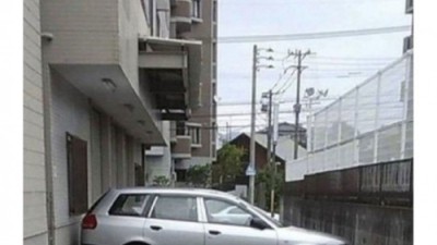 도대체 어떻게 주차 한거야