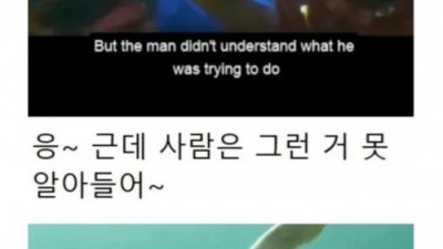 물개가 물강아지로 불리는 이유