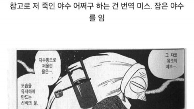 란마의 임신 관련 공식 설정