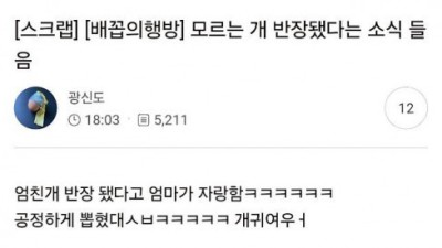 강아지 유치원 반장선거 근황.jpg