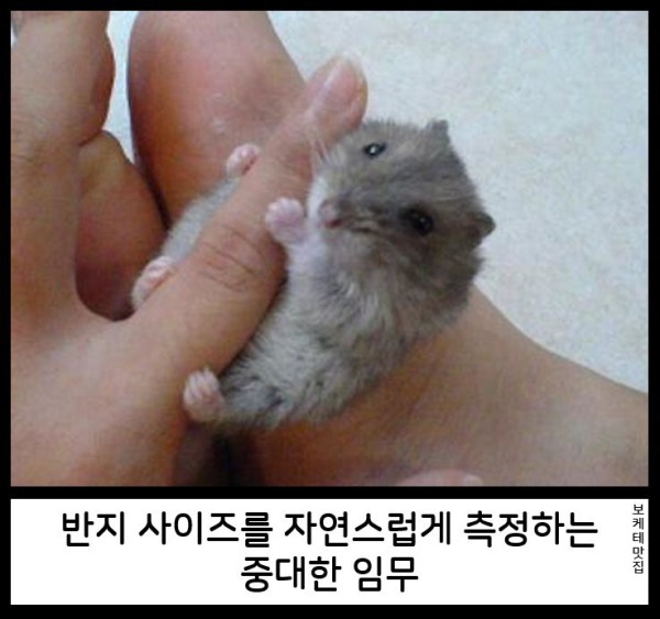17550507004251.png