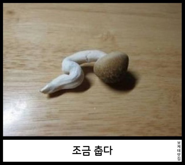 17550507015404.png