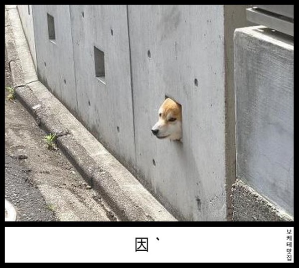 17550507023087.png