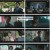 트롤리.E12.230131.1080p.H264-F1RST