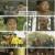 강희암행록.E16.240410.1080p.H264-F1RST