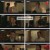 플레이어2 꾼들의 전쟁.E08.240625.1080p.H264-F1RST