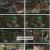 나는 돈가스가 싫어요.E02.240706.1080p.H264-F1RST