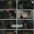 가족X멜로.E04.240818.1080p.H264-F1RST