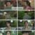 엄마친구아들.E05.240831.1080p.H264-F1RST