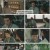 장상사.E13.240904.1080p.H264-F1RST