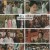 장상사.E62.241112.1080p.H264-F1RST