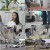 개는 훌륭하다.E53.201109.720p-NEXT