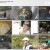 안싸우면 다행이야.E07.201121.720p-NEXT