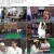 런닝맨.E530.201122.720p-NEXT