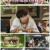 빌려드립니다 바퀴 달린 집.E01.210913.1080p.H264-F1RST