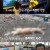 TV 동물농장.E1036.210919.720p-NEXT