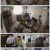 대탈출4.E11.210919.1080p.H264-F1RST
