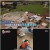 추석특집 TV 동물농장 스페셜.210920.720p-NEXT