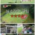 골프왕.210921.1080p.H264-F1RST