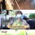TV 동물농장.E1037.210926.720p-NEXT