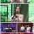 2021 Korean Festival :재외동포와 함께하는 가요제.211008.1080p.H264-F1RST
