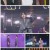 2021 아시아송 페스티벌.211015.1080p.H264-F1RST