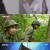 신비한TV 서프라이즈.E987.211017.720p-NEXT