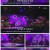 가요무대.열애.E1721.211018.1080p.H264-F1RST
