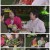 박원숙의 같이 삽시다 시즌3.E35.211020.1080p.H264-F1RST