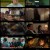 홍진경의 영화로운 덕후생활.E17.211112.450p-NEXT